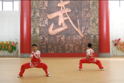 南京师范大学附属中学秦淮科技高中武术健身拳