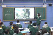【附中科高·讲台】“深耕生长课堂，面向未来而教”——第四届“竞进杯”优质课决赛圆满落幕