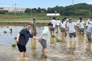 【附中科高·农村社会实践】走，去田野里上课！
